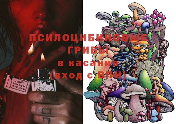 сатива Алексин
