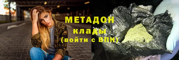 прущие грибы Наволоки